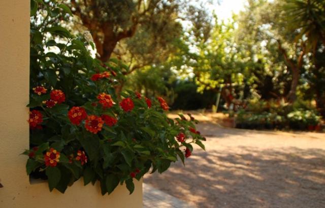 Rio Barca bed&breakfast Alghero Exterior foto