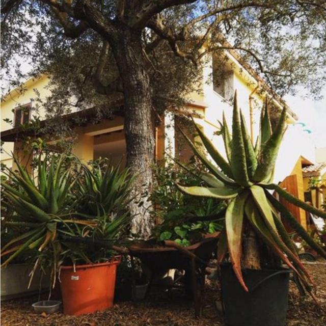 Rio Barca bed&breakfast Alghero Exterior foto
